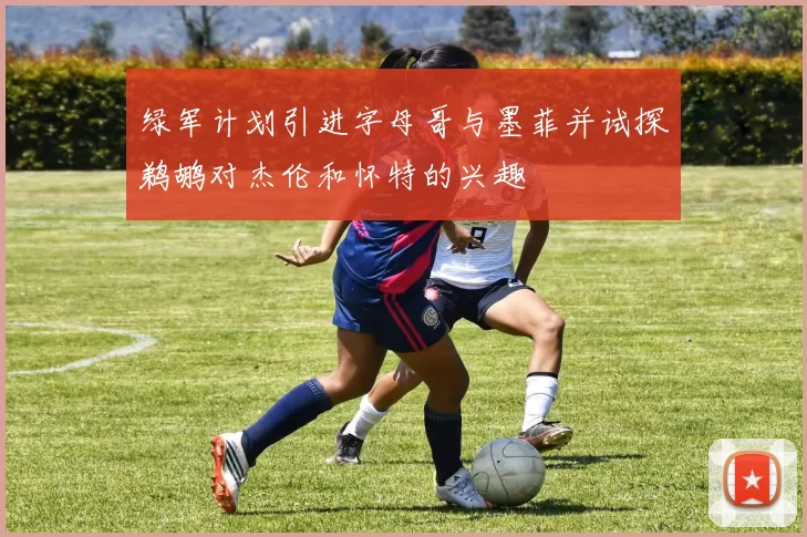 绿军计划引进字母哥与墨菲并试探鹈鹕对杰伦和怀特的兴趣